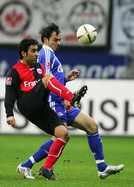 这篇文章的 这篇文章的