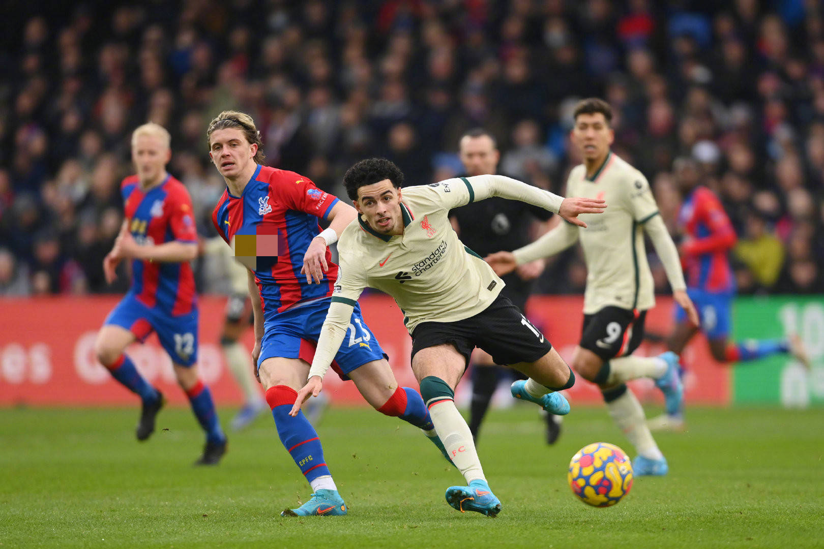 青岛男篮 青岛男篮